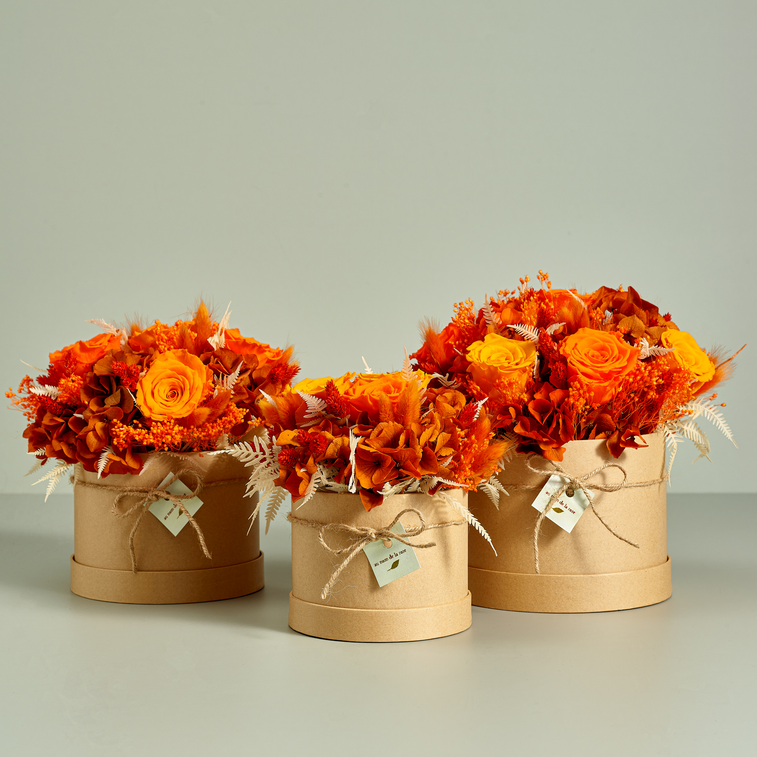 Nuptio 12 Rose Stabilizzate Vere In Scatola Regalo - Fiori Eterni A Lunga Durata (2-3 Anni), Regalo Per Festa Della Mamma, Compleanno, Matrimonio